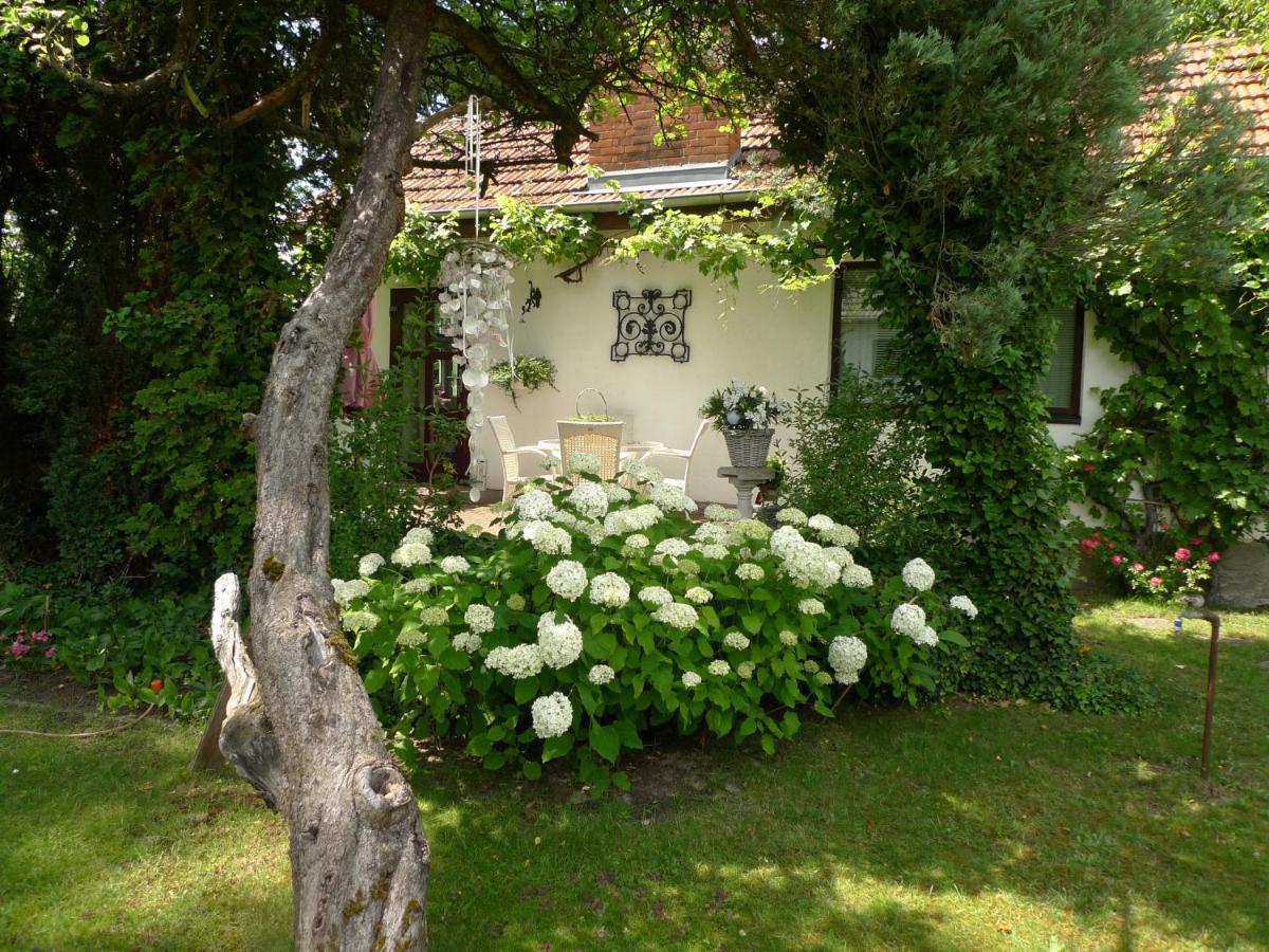 Gemuetliches Gaestehaus Berlin Bohnsdorf, Naehe Flughafen Schoenefeld 외부 사진